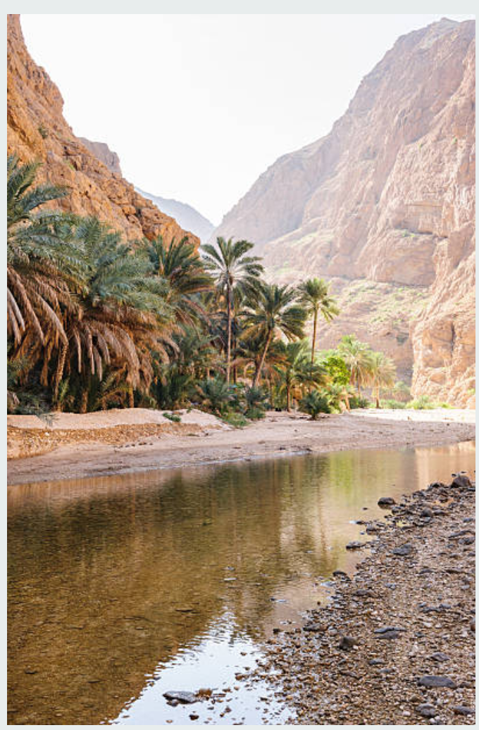 Screenshot_20250315 0941282